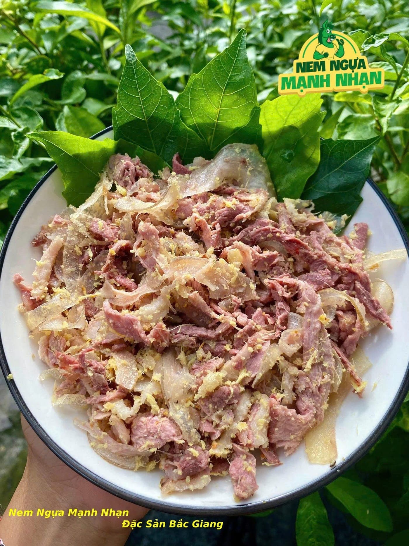 Hình ảnh nem ngựa Mạnh Nhạn 36